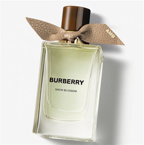 voňavka burberry|Vůně BURBERRY .